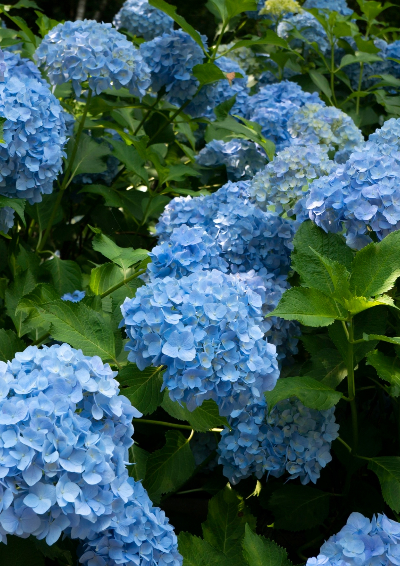 6 2